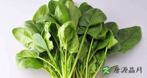 春季适合吃的蔬菜