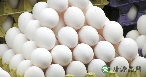 春季给孩子吃什么菜好