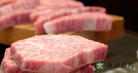 春季吃什么肉好