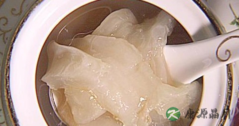 春季可以吃鱼胶吗