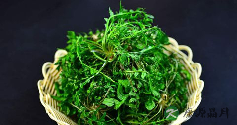 春季适合吃的蔬菜