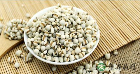薏米在春季吃好吗