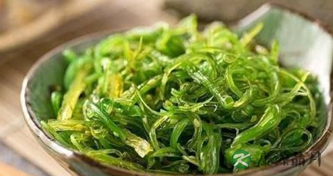 春季肾虚吃什么