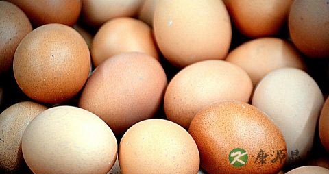 春天怎么养肝胆