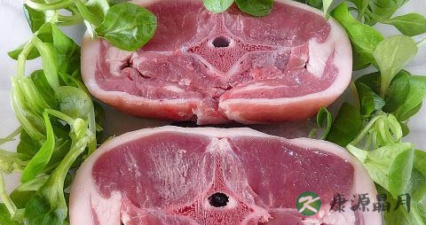 春季可以吃羊肉吗
