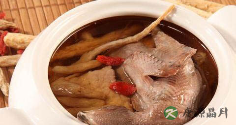 春季吃鸭肉好吗