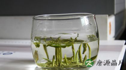 春季上火喝什么茶 15种降火茶