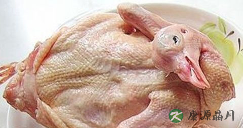 春季吃什么肉类