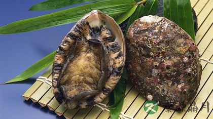 食要当季 推荐10种八月时令海鲜