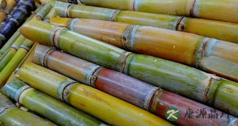 夏天热感冒了吃什么好的快