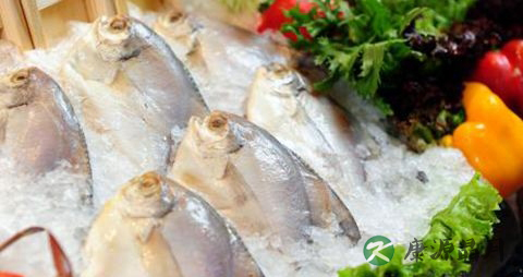夏季适合吃什么海鲜