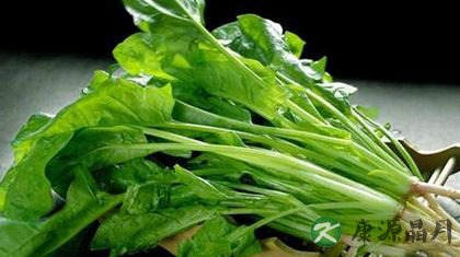 夏天减肥吃什么蔬菜好