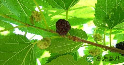 夏天消暑方法