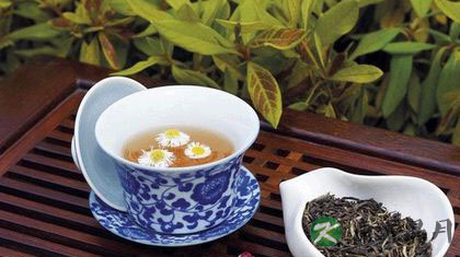 夏天喝什么茶去火 推荐12款降火茶