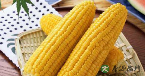 夏天清热解毒的食物