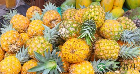 夏季小孩易消化的水果