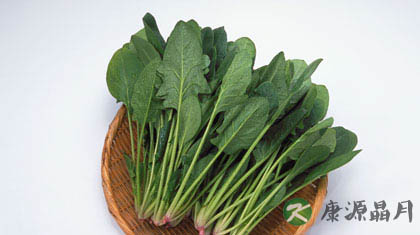 天气热没有食欲 吃什么蔬菜好