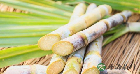 夏天感冒发烧吃什么比较好