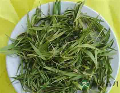 夏季应清火祛湿戒躁制怒