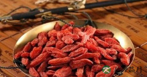 夏季养生需注意什么