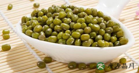 夏天消暑饮品