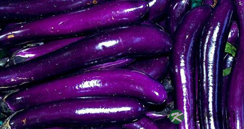 夏季吃什么菜好