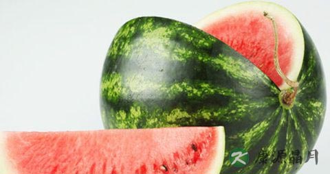 夏季吃什么水果防中暑
