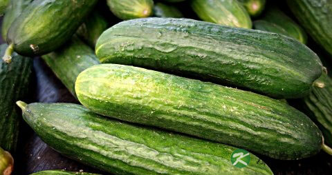 夏季脸部怎么护肤