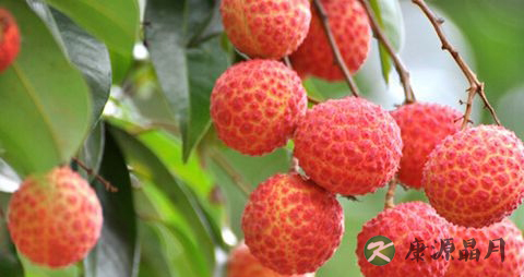 夏季应季水果