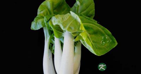 夏季孕妇食谱大全
