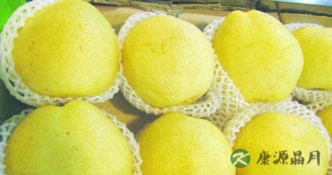 北方夏季喝什么茶好