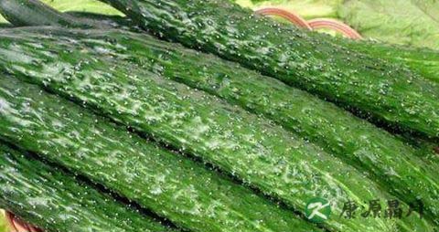 夏季应季蔬菜
