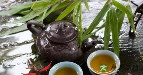 夏天适合喝什么茶叶
