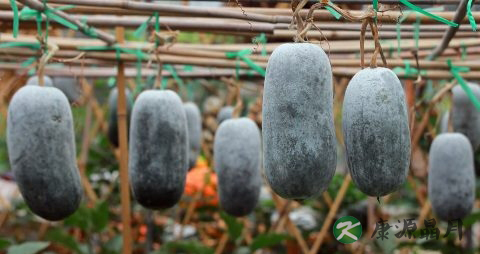夏天适合做什么菜