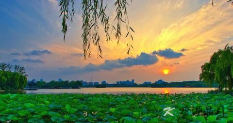 夏天适合戴什么帽子
