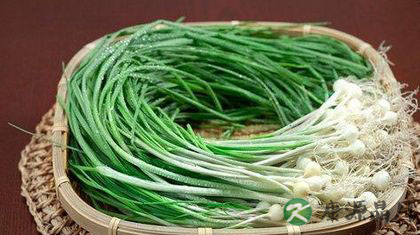 夏季最佳蔬菜大盘点