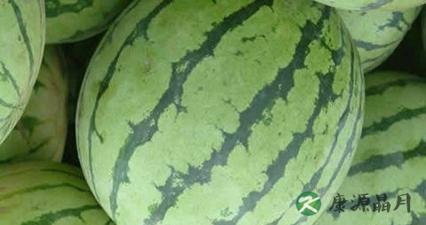 夏季吃西瓜注意事项