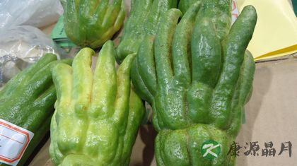 夏季吃什么蔬菜好 竹笙刮油南瓜养胃