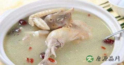 夏季养脾吃什么好