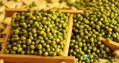 夏季适宜吃什么
