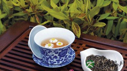 夏天适合喝什么花茶