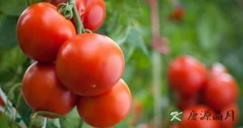 夏季腿部怎样防晒
