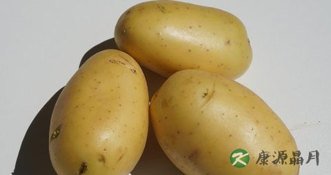 孕妇夏季护肤小常识