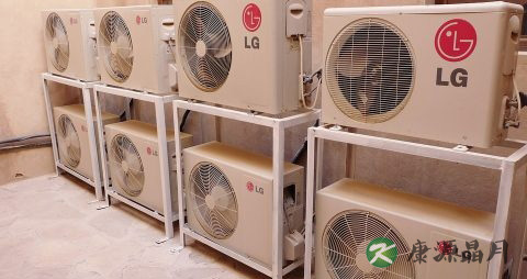 夏天为什么瘦的快