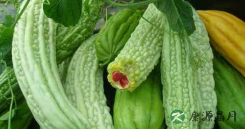 宝宝夏季吃的蔬菜有哪些