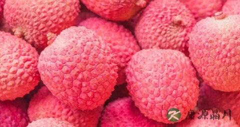 夏天吃什么菜不上火