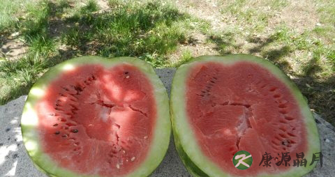 夏天要吃什么水果