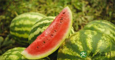夏天吃什么败火