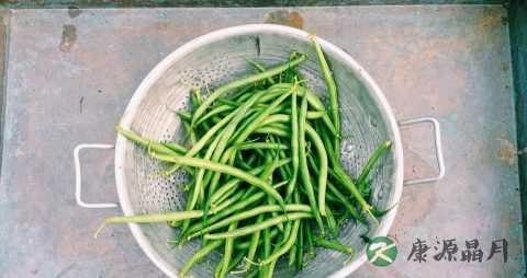 夏天不宜多吃的水果