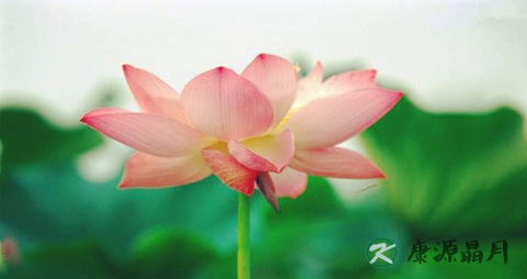 夏季如何去火
